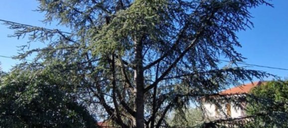 Вилла с 5 комнатами в Рагальна, Италия № 286398 6