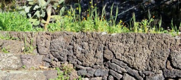 Вилла с 5 комнатами в Рагальна, Италия № 286398 48