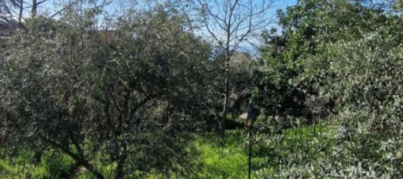 Вилла с 5 комнатами в Рагальна, Италия № 286398 44