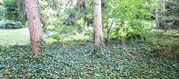  Land in Breitenfurt bei Wien, Austria No. 235592 4