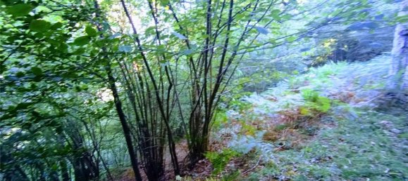 Casa de 2 divisões em Casale Corte Cerro, Italy N.º 353892 23