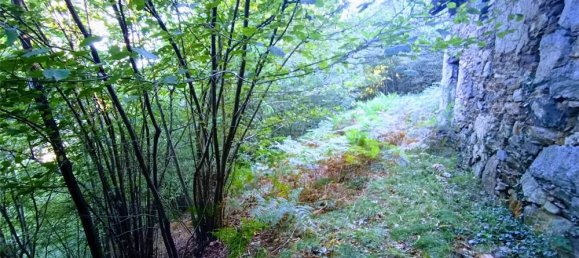 Casa de 2 divisões em Casale Corte Cerro, Italy N.º 353892 22