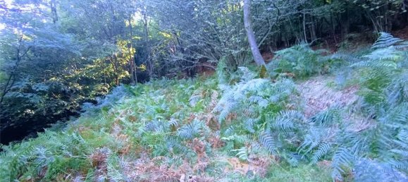 Casa de 2 divisões em Casale Corte Cerro, Italy N.º 353892 16