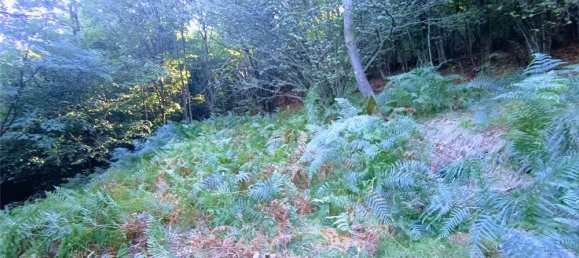 Casa de 2 divisões em Casale Corte Cerro, Italy N.º 353892 17