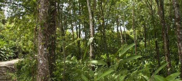  قطعة أرض في Perez Zeledon, Costa Rica رقم 1495 5
