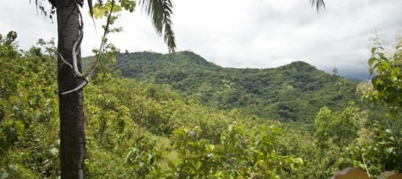  قطعة أرض في Perez Zeledon, Costa Rica رقم 1495 4