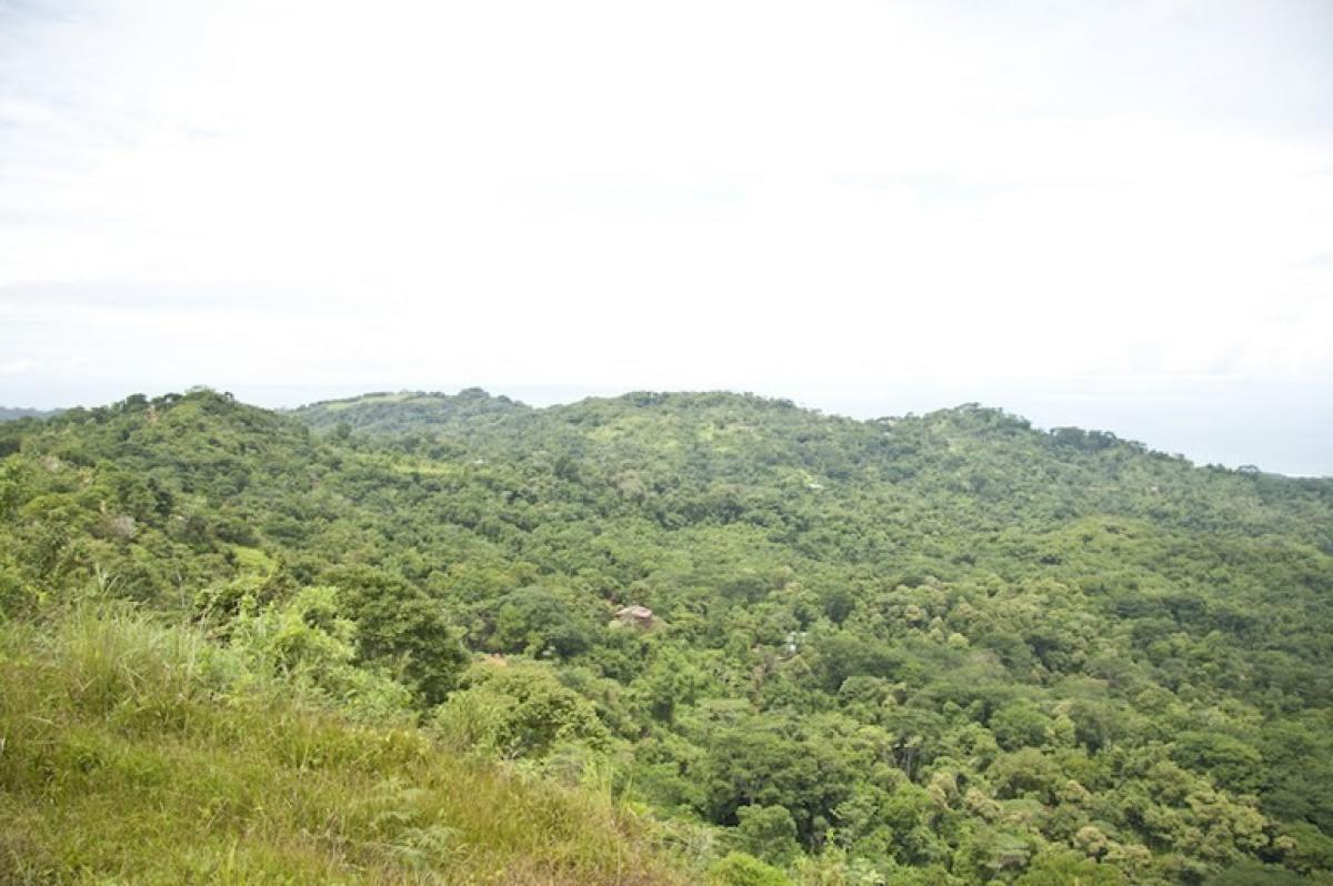 قطعة أرض في Perez Zeledon, Costa Rica رقم 1495