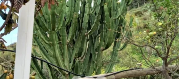 Casa T2 em Almayate Bajo, Spain N.º 38715 32