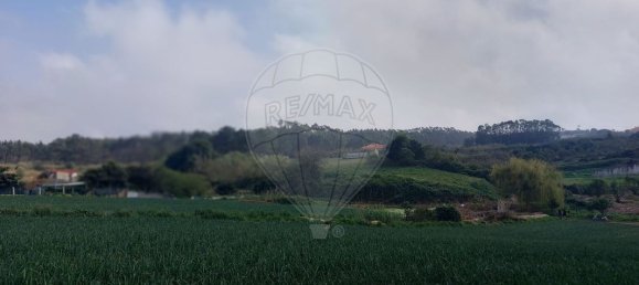 2 bedrooms House in Atouguia da Baleia, Portugal No. 29913 6