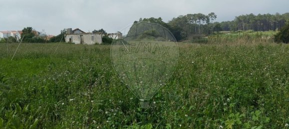 2 bedrooms House in Atouguia da Baleia, Portugal No. 29913 9