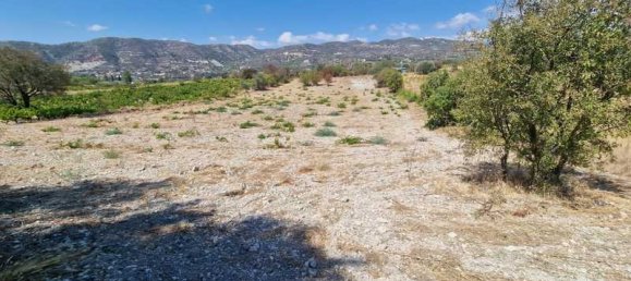 2 Schlafzimmer Haus in Laneia, Cyprus, Nr. 13443 3