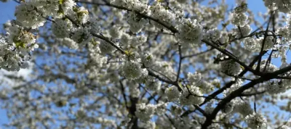 7-Zimmer Haus in Nordsachsen, Germany, Nr. 187949 2