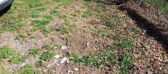 Casa de 5 habitaciónes en Lonate Ceppino, Italy No. 5474 24