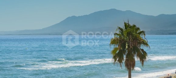 6 bedrooms Villa in Marbella, Spain No. 93755 28