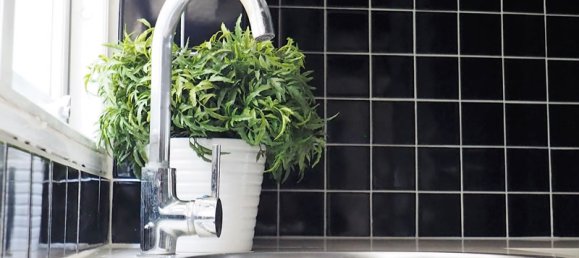 3 bedrooms Condo in Apus Pattaya, Thailand No. 28510 4