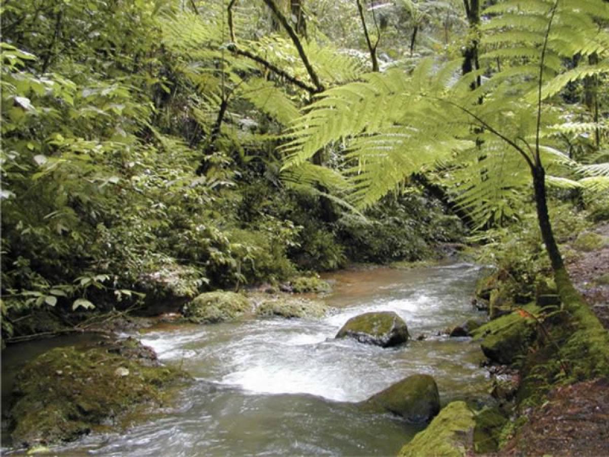 Studio à Veracruz, Mexico No. 227336