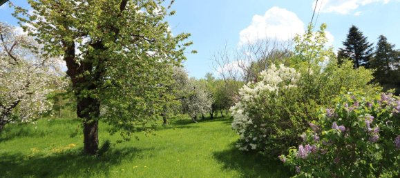 3 rooms House in Wienerwald, Austria No. 58621 36