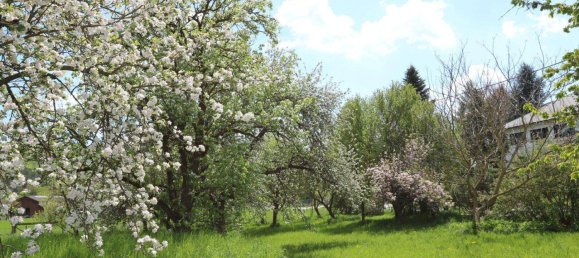 3 rooms House in Wienerwald, Austria No. 58621 42