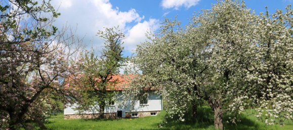 3 rooms House in Wienerwald, Austria No. 58621 41