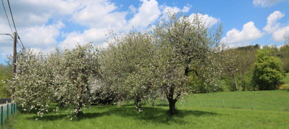 3 rooms House in Wienerwald, Austria No. 58621 29