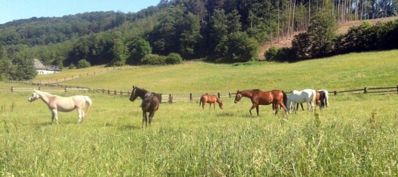 3 rooms House in Wienerwald, Austria No. 58621 43