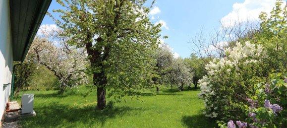 3 rooms House in Wienerwald, Austria No. 58621 37