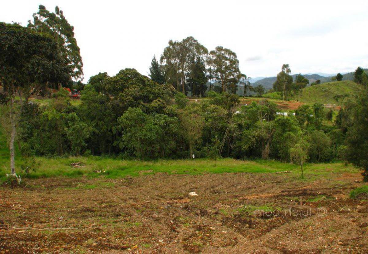 Grundstück in Antioquia, Colombia, Nr. 746