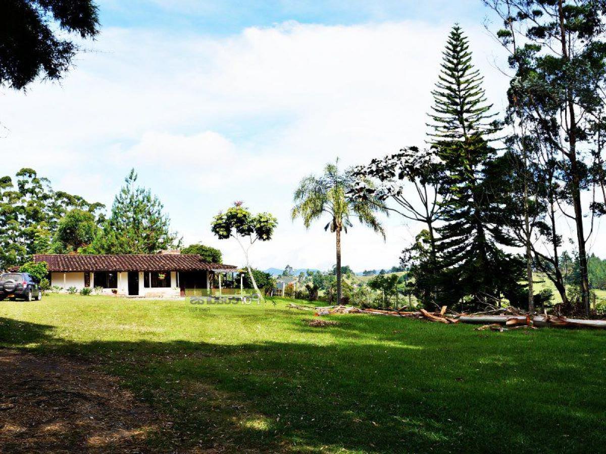  Land in Antioquia, Colombia No. 273