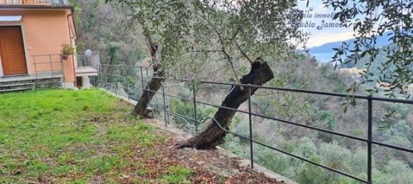 1 bedroom Apartment in Zoagli, Italy No. 279753 2