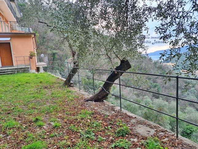 1 bedroom Apartment in Zoagli, Italy No. 279753