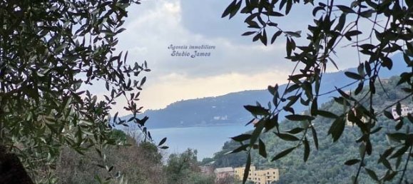 1 bedroom Apartment in Zoagli, Italy No. 279753 3