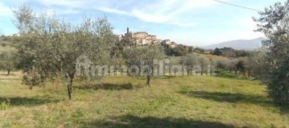 5000m² Land in Spinetoli, Italy No. 329115 2