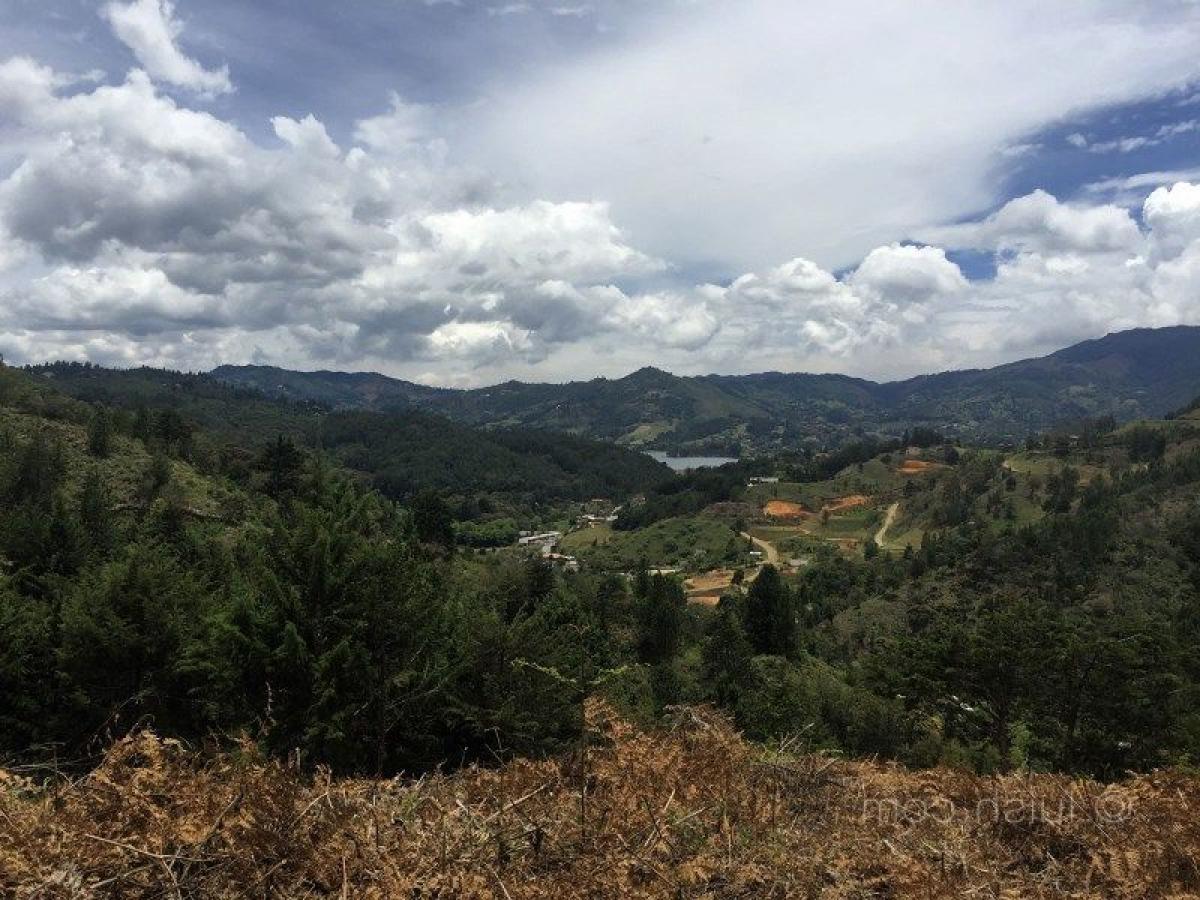  Land in Antioquia, Colombia No. 404