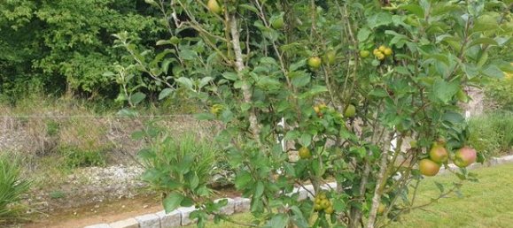 3 bedrooms House in Seine-Maritime, France No. 312513 11