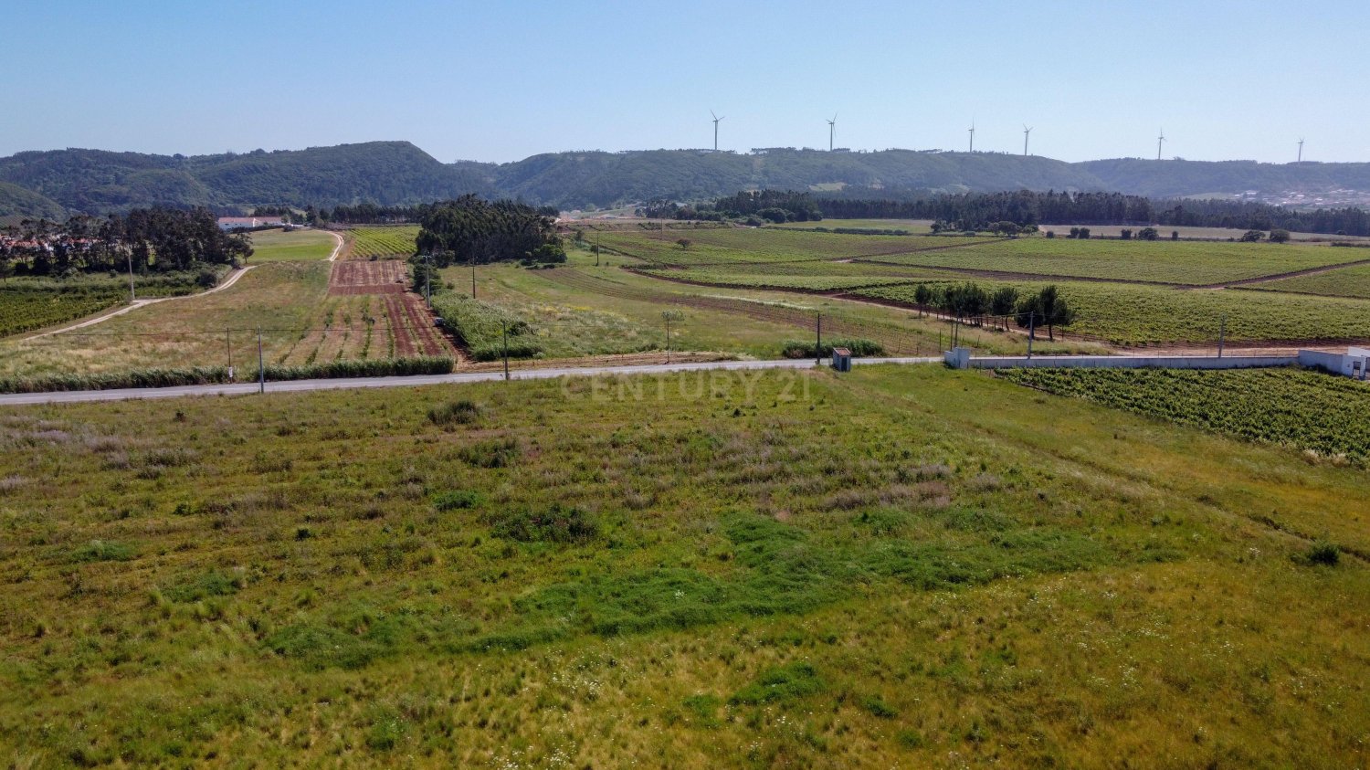 Terrain à Bombarral, Portugal No. 274799
