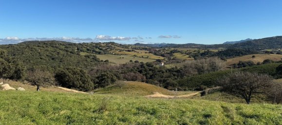 1 Schlafzimmer Haus in Luras, Italy, Nr. 370845 4