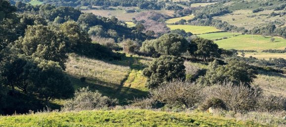 1 Schlafzimmer Haus in Luras, Italy, Nr. 370845 2