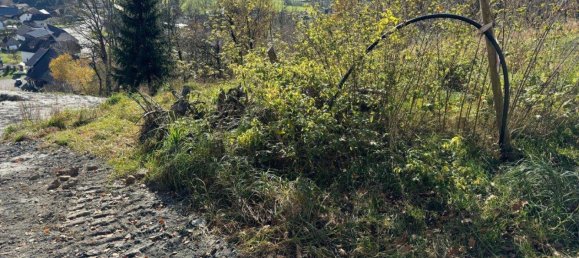 1467m² Land in Trieben, Austria No. 97159 6