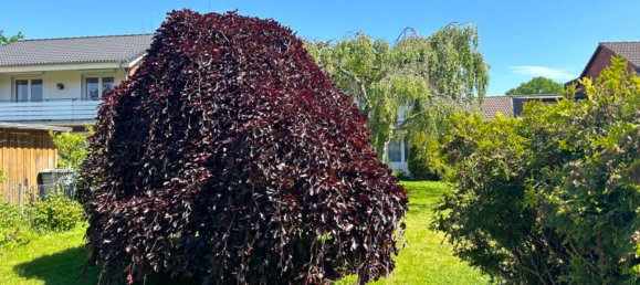 Casa T2 em Schleswig-Holstein, Germany N.º 65912 9