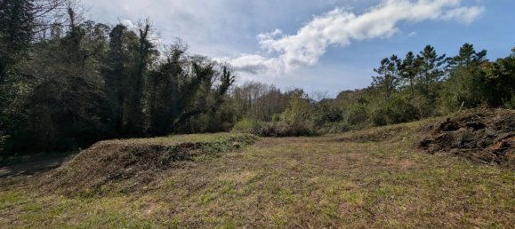 Land in Poggio-Mezzana, France No. 157833 18