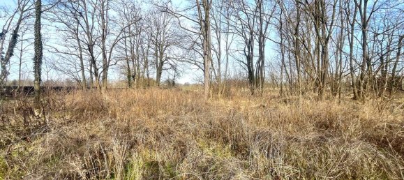 Кафе / ресторан в Анхальт-Биттерфельд, Германия № 247354 10