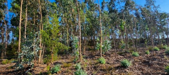 Terreno en Mortagua, Portugal No. 82500 3