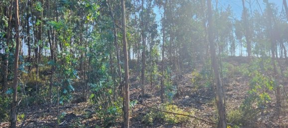 Terreno en Mortagua, Portugal No. 82500 4