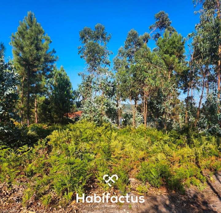 Terreno en Mortagua, Portugal No. 82500