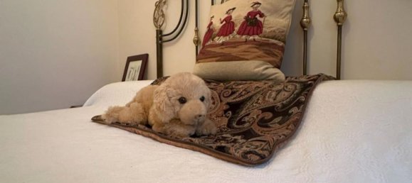 4 Schlafzimmer Haus in Andalusia, Spain, Nr. 155843 14