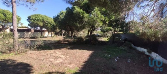 Terreno em Almancil, Portugal 890 m² N.º 107372 2