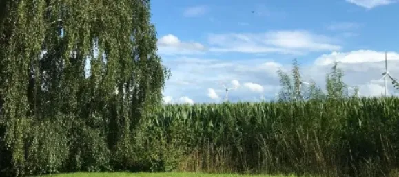 Casa de 2 dormitorios en Cuxhaven, Germany No. 291305 23