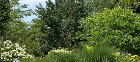 Casa de 2 dormitorios en Cuxhaven, Germany No. 291305 8