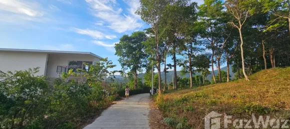  قطعة أرض في Koh Pha Ngan, Thailand رقم 58259 2