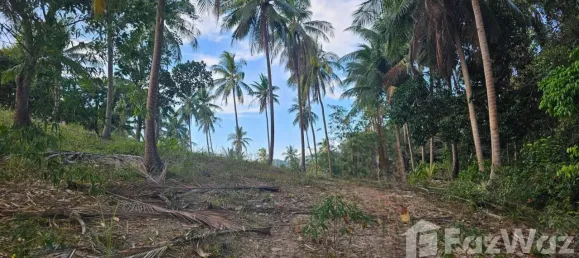  قطعة أرض في Koh Pha Ngan, Thailand رقم 58259 5